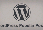 WordPress Popular Postsの出力をフルカスタマイズするには。